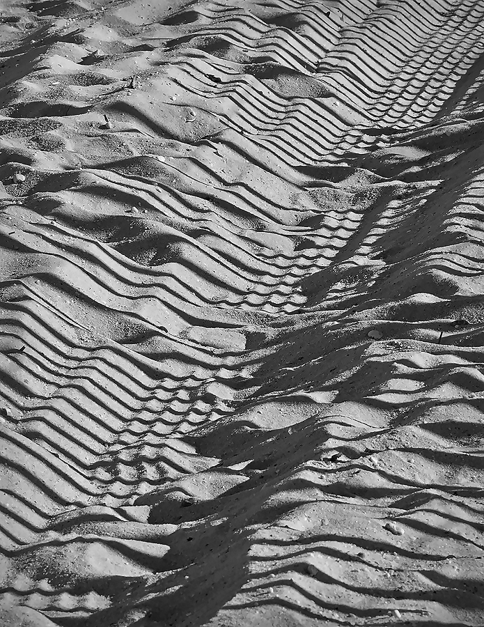 Beach Shadows