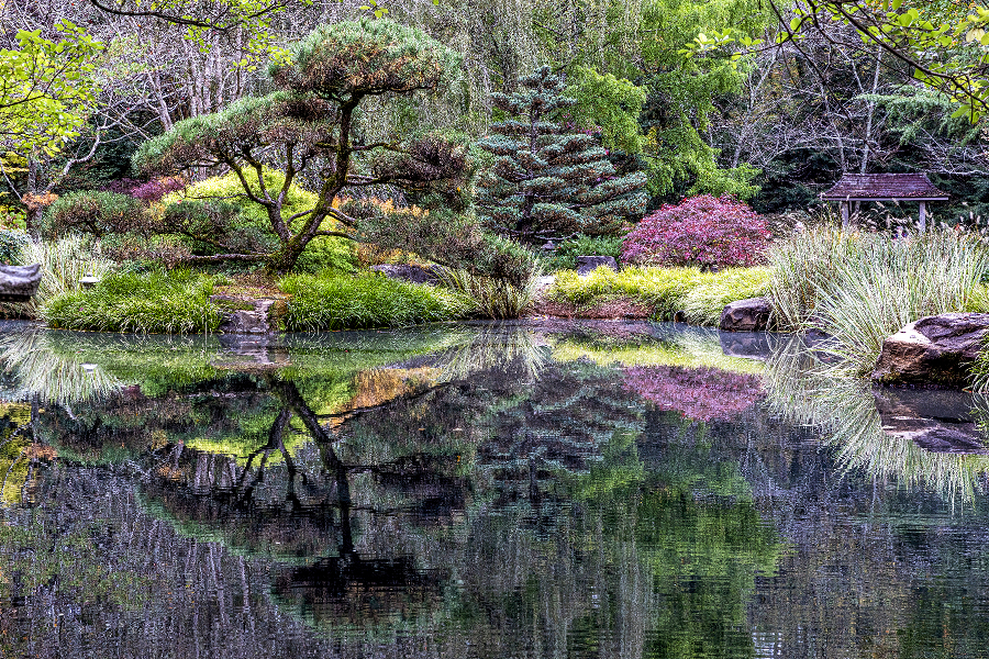 Gibbs Gardens Reflections