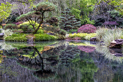 Gibbs Gardens Reflections