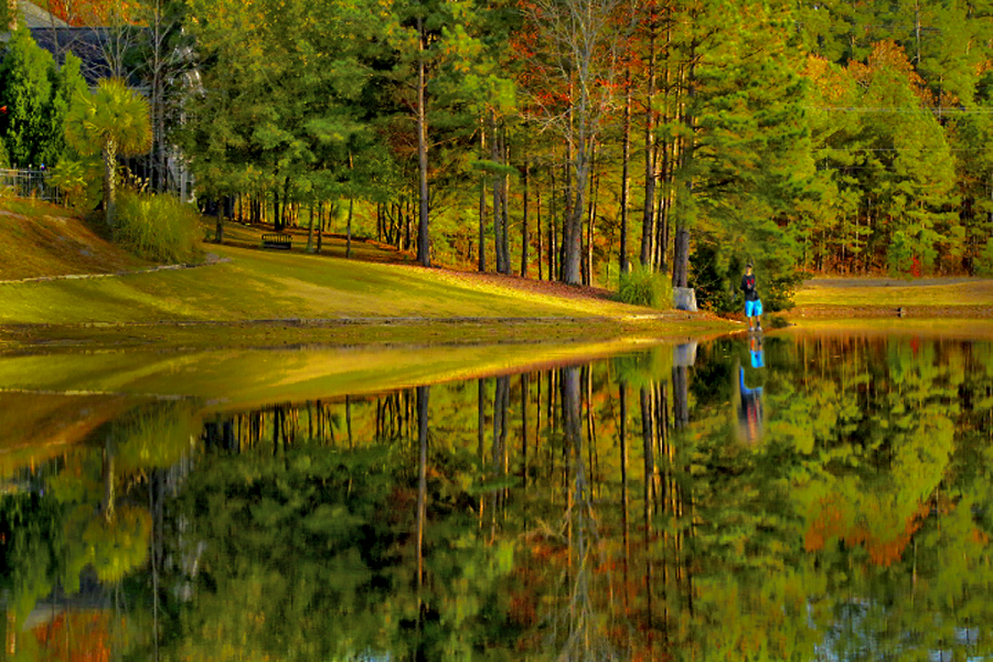 Lakeside Solitude