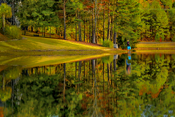 Lakeside Solitude