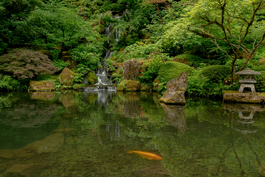 Peace at the Japanese Garden