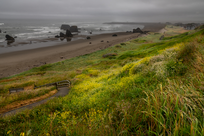 Bandon Beach Springtime