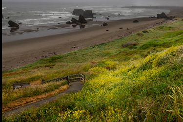 Bandon Beach Springtime