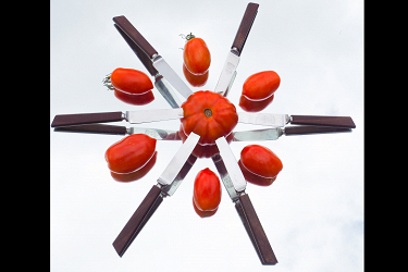 Tomatoes and Knives on a Mirror