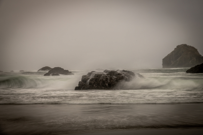 Untamed Waves