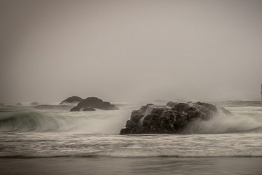 Untamed Waves