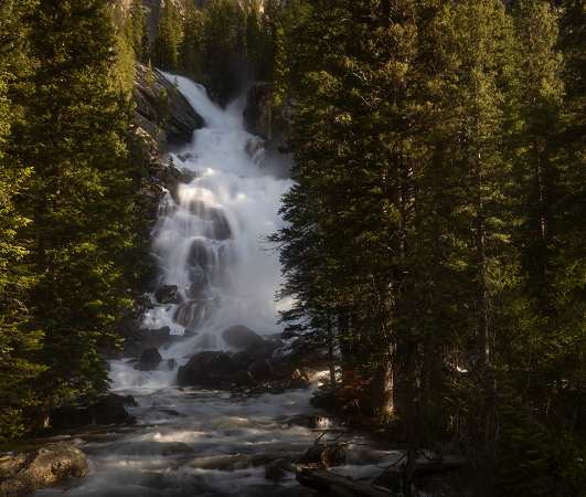 Forest Waterfall