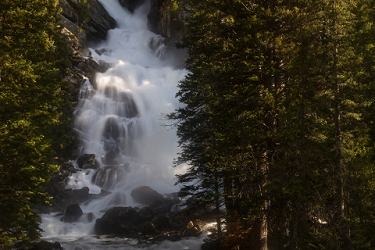 Forest Waterfall