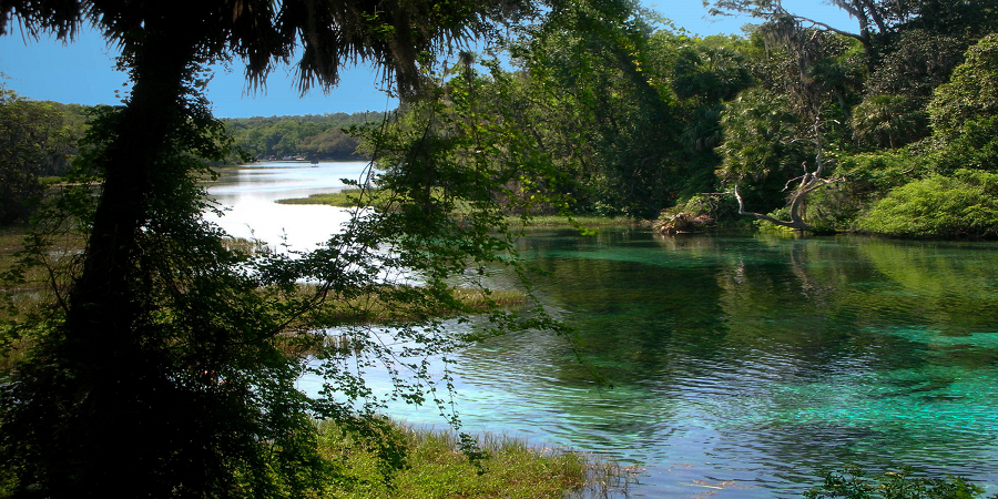 Rainbow Springs