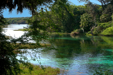 Rainbow Springs