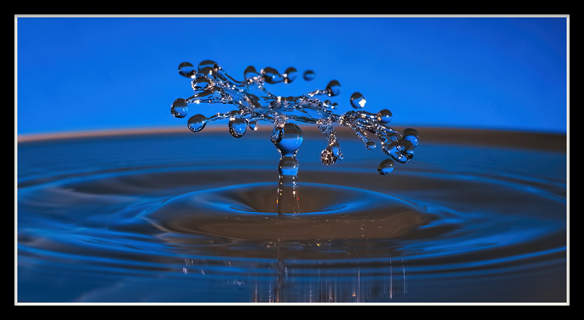 Water Drops