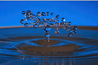 Water Drops