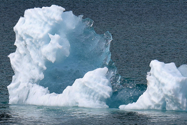 Sparly Iceberg Bits