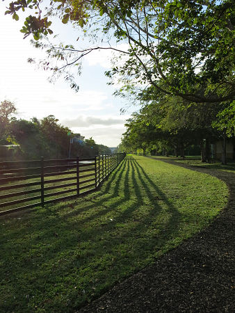 The Park Fence