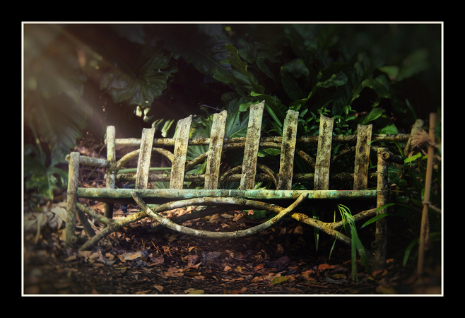 Old Bench