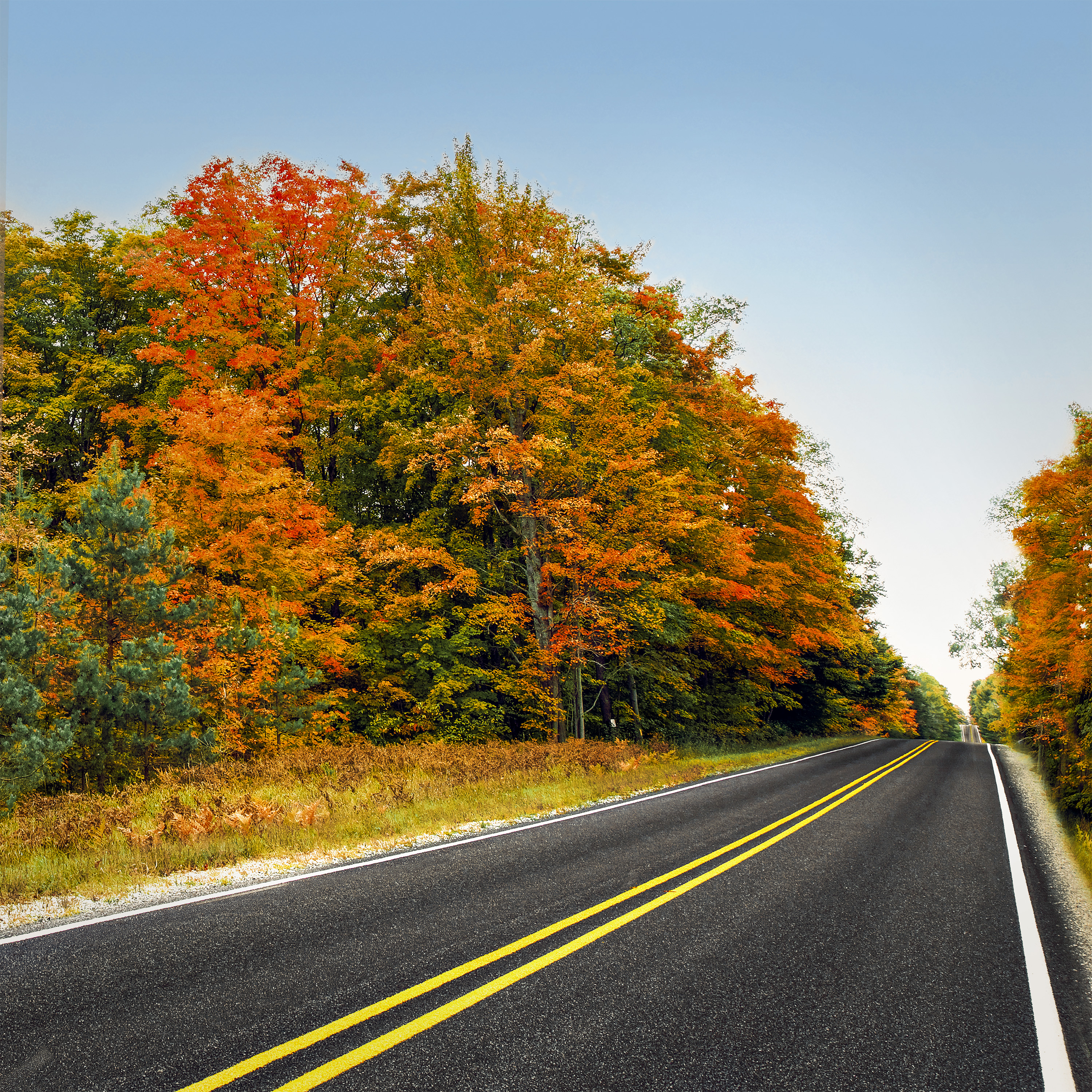 Colorful Country Road