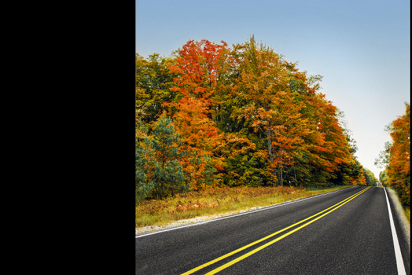 Colorful Country Road