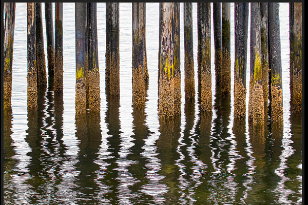 Pier Reflections