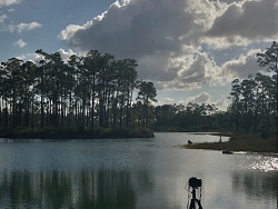 Everglades Long Pine Key