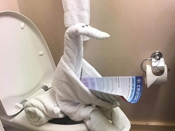 Towel Animal