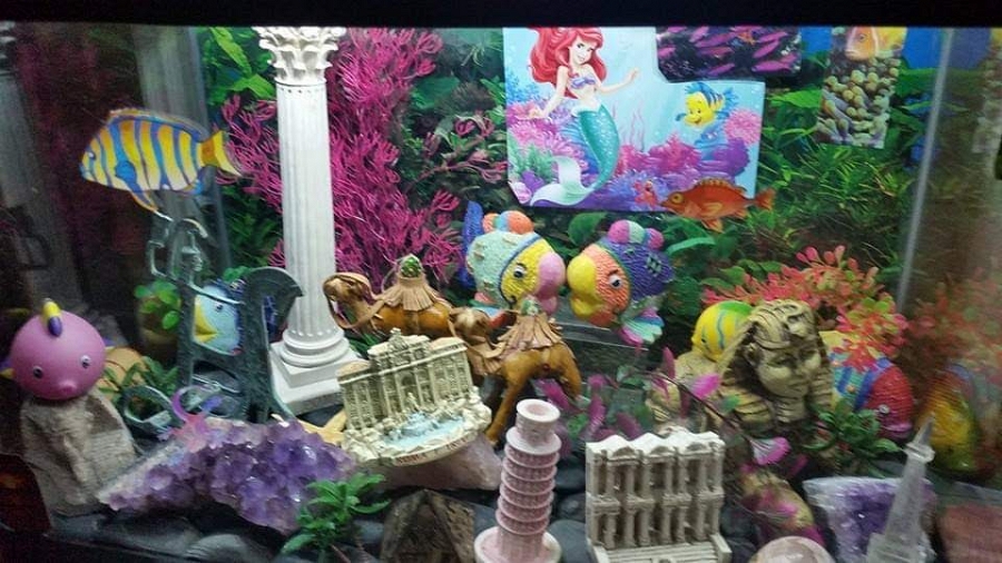 Travel Aquarium