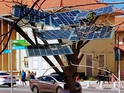 A Solar Tree