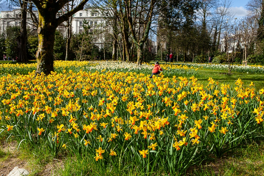 IRISH SPRING