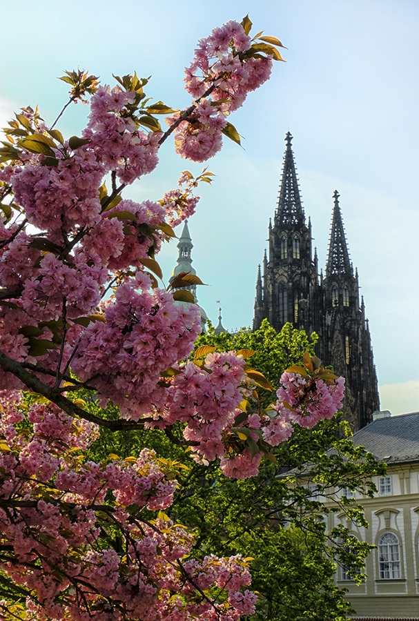 Springtime in Prague