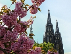 Springtime in Prague