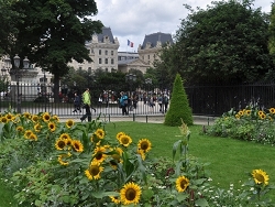 Spring in Paris