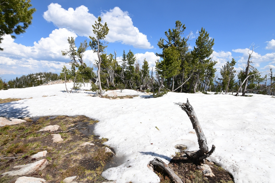 First Thaw of Spring